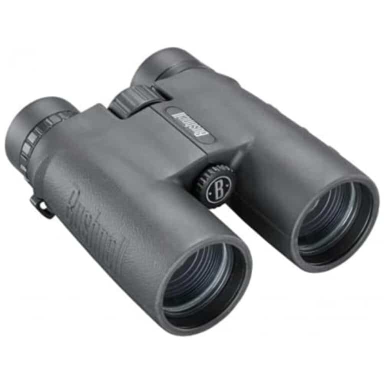 Prismáticos Bushnell Pacifica 10x42 Negro: Observa aves, turismo y vida silvestre con estilo